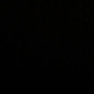 Meet your Posher, Abbey